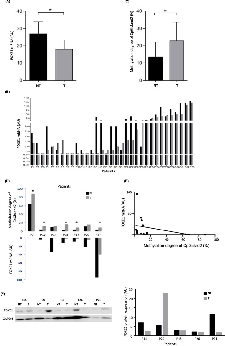 Figure 3