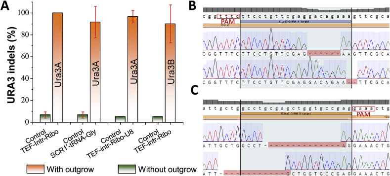 Fig. 3