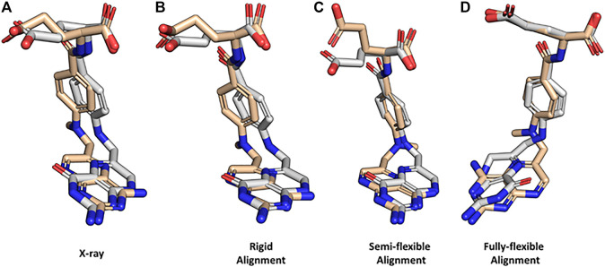 FIGURE 4