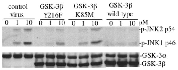 Fig. 9