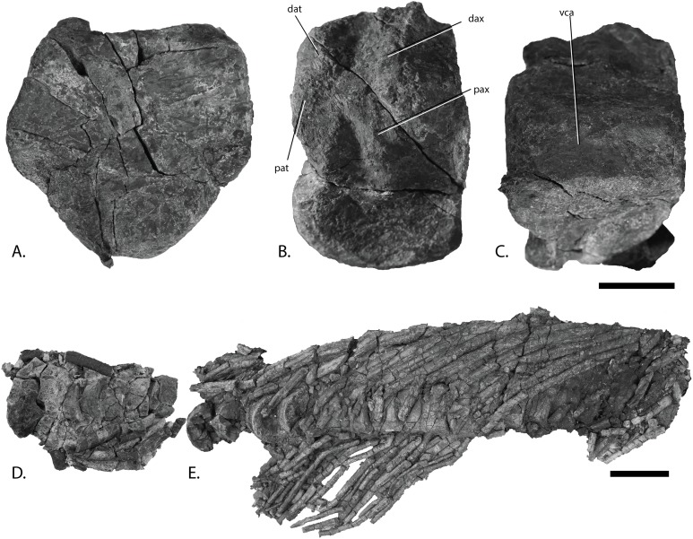 Figure 13