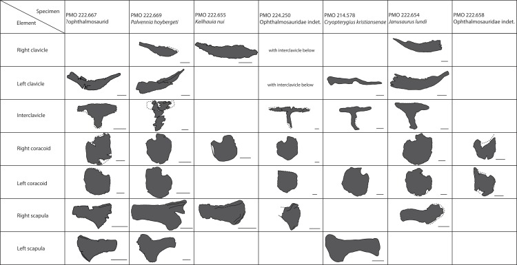 Figure 22