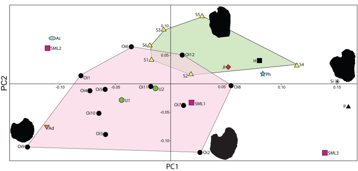 Figure 21