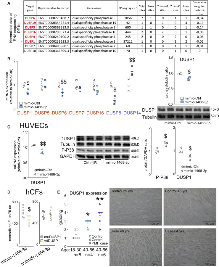 Figure 6