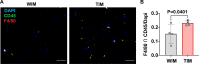 Figure 2—figure supplement 1.