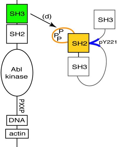 Fig 1.