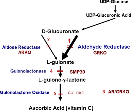 FIGURE 1.