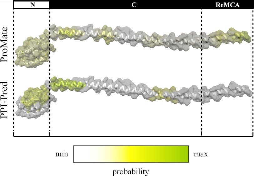 FIGURE 3.