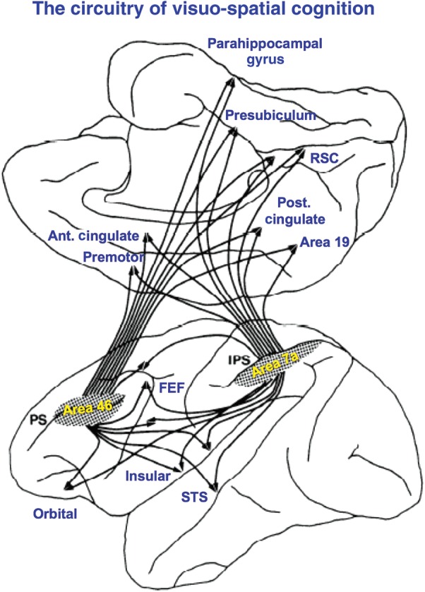 Figure 2.