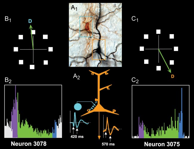 Figure 6.