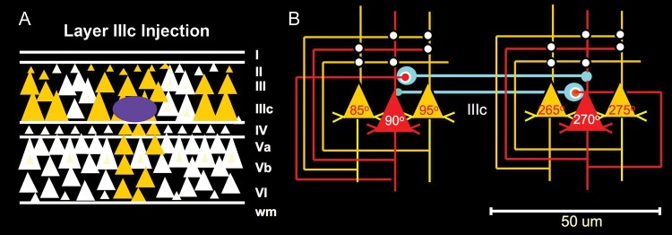 Figure 5.