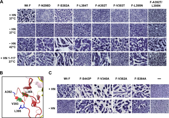 Fig 4