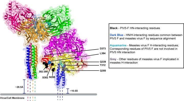 Fig 6