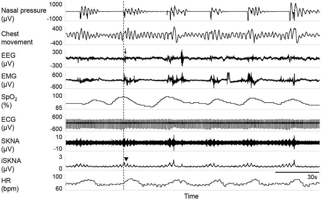 Figure 3.