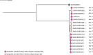 Extended Data Fig. 6