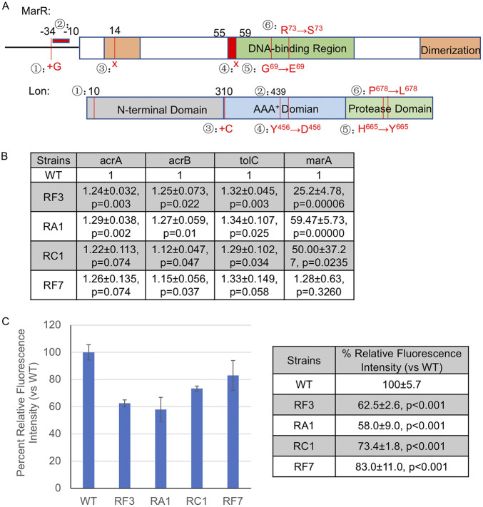 FIG 4