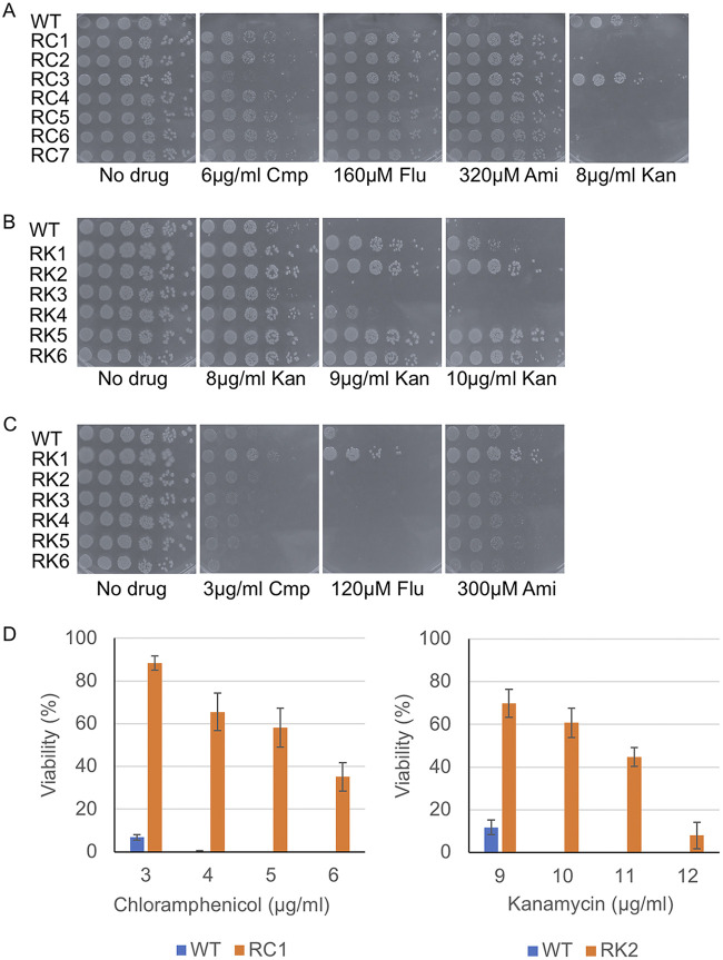 FIG 3