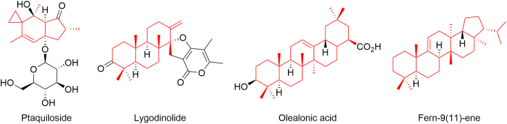 Figure 5