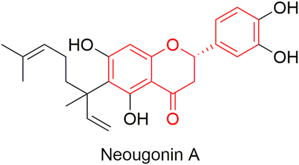 Figure 4