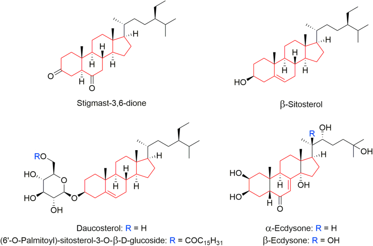 Figure 6