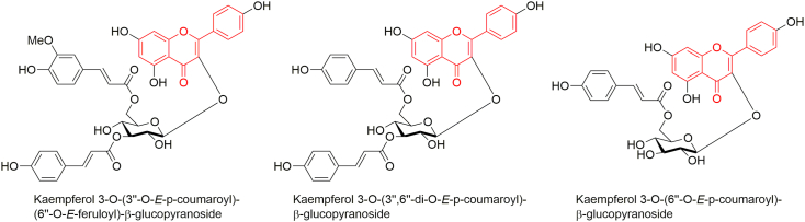 Figure 2