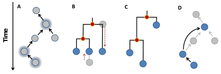 graphic file with name figure1.jpg