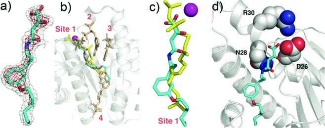 Figure 4