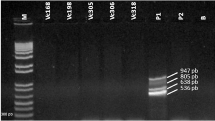 Fig. 3 -