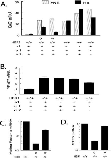 FIG. 5.