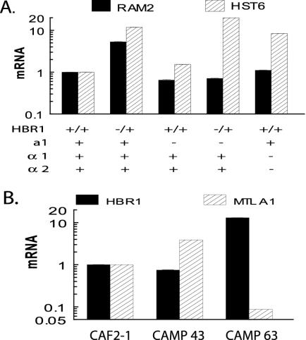 FIG. 6.