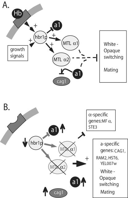 FIG. 7.