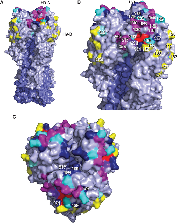 Figure 4.