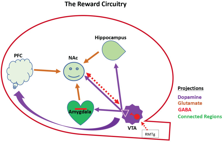 Fig. (1)