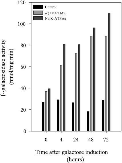 FIG. 13.