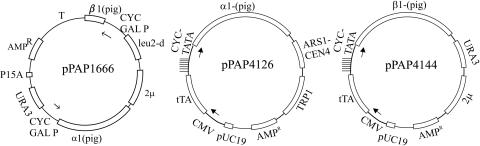 FIG. 1.