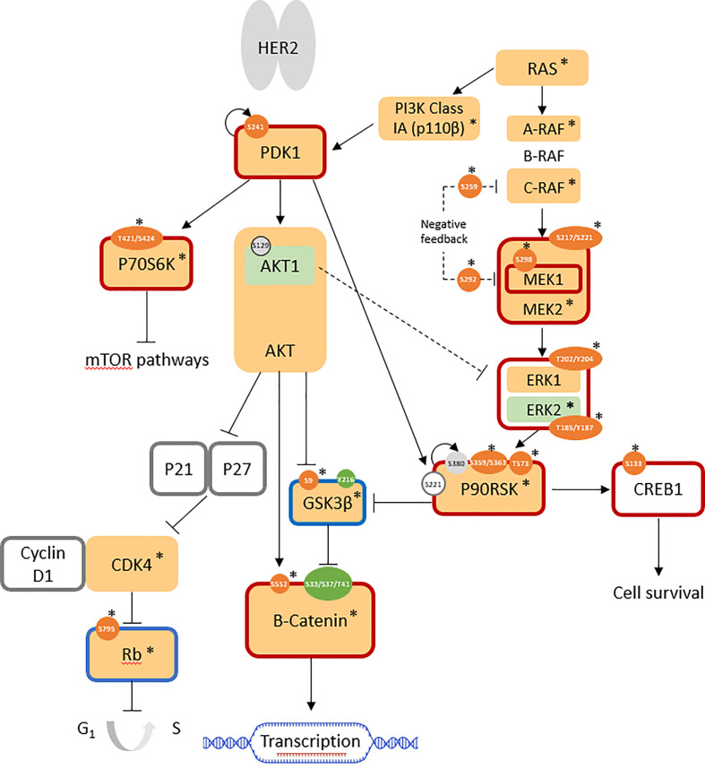 Figure 2