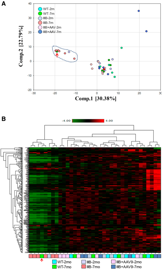 Figure 1