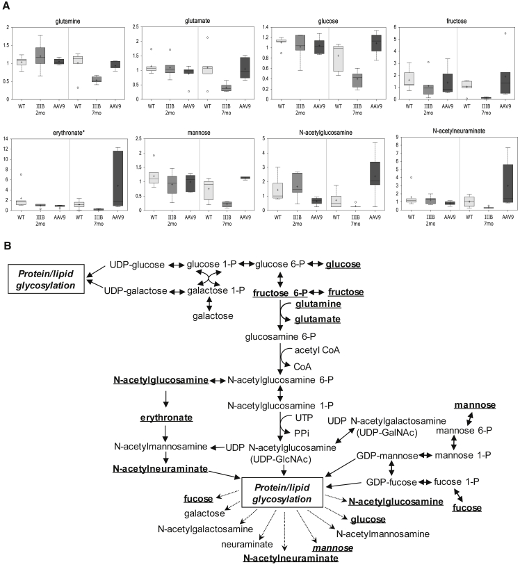 Figure 4