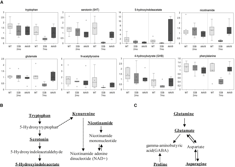 Figure 3