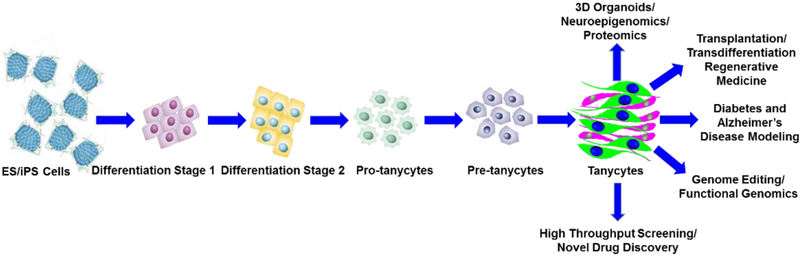 Figure 2: