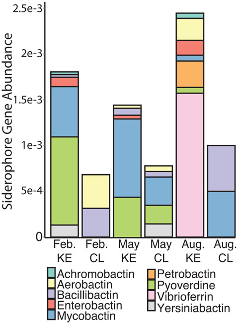 Figure 5.