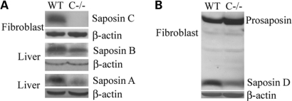 Figure 2.