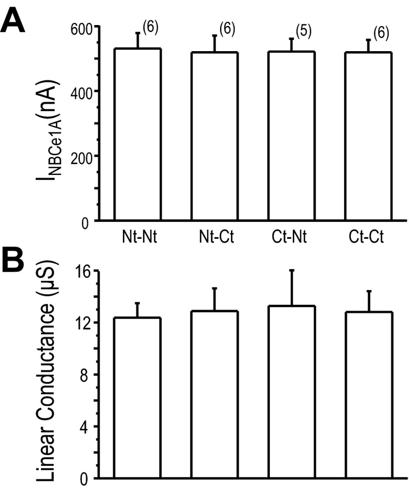 Fig. 5.