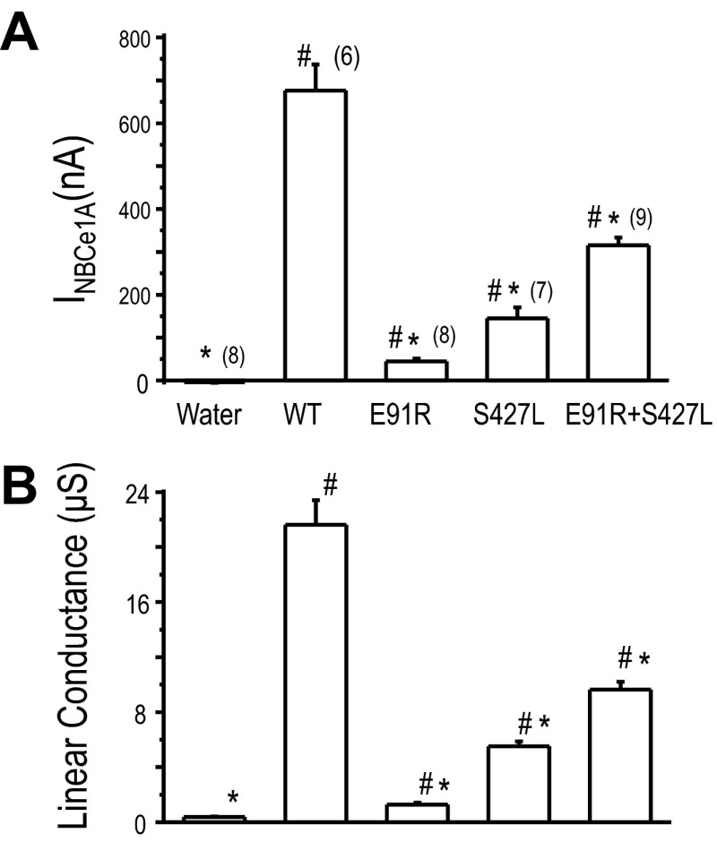 Fig. 7.