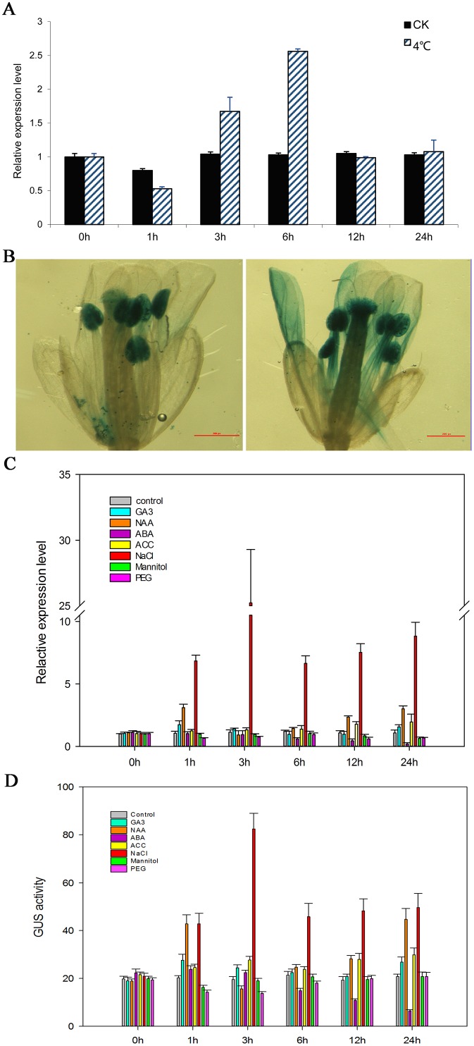 Fig 4