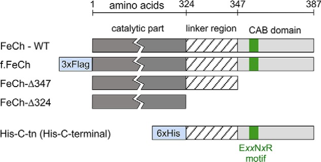 Figure 1.