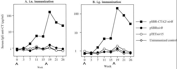 FIG. 6