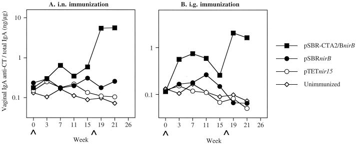 FIG. 4