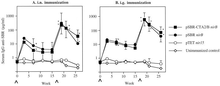 FIG. 5