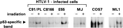 FIG. 6